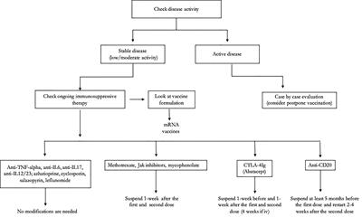 Severe Acute Respiratory Syndrome Coronavirus-2 Infection and Autoimmunity 1 Year Later: The Era of Vaccines